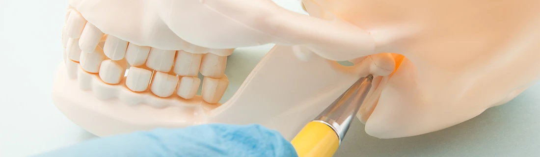 TMJ/TMD Treatment in Orange City FL